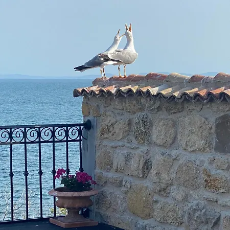 Villa Alenor | Sea View & Beach Access * Несебър