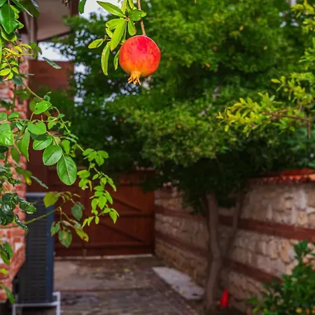 Alenor | Sea View & Access * Nesebar