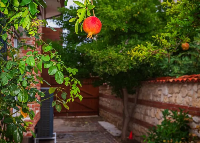 Alenor - Sea Views & Sea Access | Unesco Old Town | Sleeps 8 Villa *